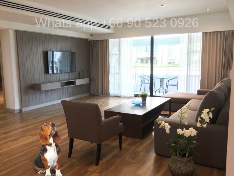 Pet-Friendly Condo for Rent 3-Bedroom in Asoke Area