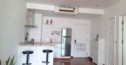 Condo for Rent Sukhumvit Near BTS Phrom Phong with Full Kitchen plus Oven