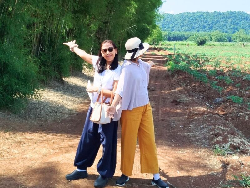 ขายด่วน!! ขายถูก! ที่ดิน เขาใหญ่ 8 ไร่ ไร่ละ 1.8 ล้าน ที่สวย ทำเลดี สาธารณูปโภคครบ