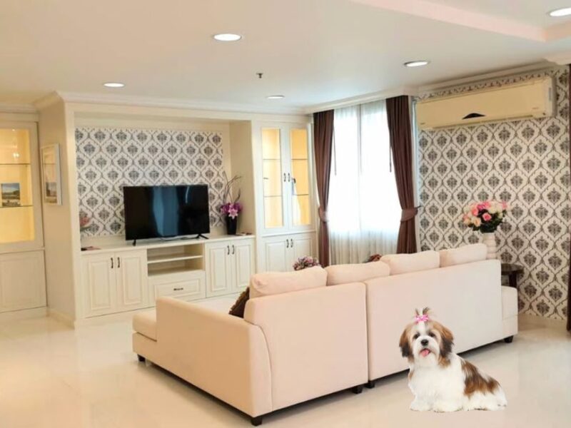 Pet Friendly Penthouse Duplex is Ideal for Long-Term Family Living:Sukhumvit 39