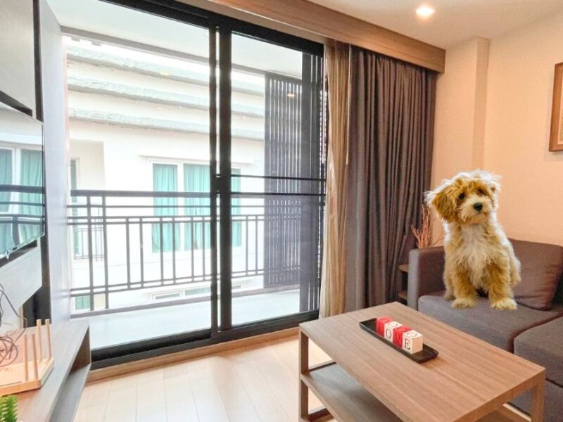 Pet-Friendly 1BR Condo for Rent in Thonglor – Low Rise Condo, Stylish, and Prime Location