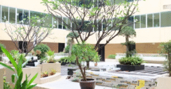 คอนโด เลี้ยงสัตว์ได้ 2 ห้องนอน 1 ห้องน้ำ ลาดพร้าว 101 Pet Friendly Condo for Rent LadPrao 101