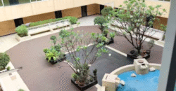 คอนโด เลี้ยงสัตว์ได้ 2 ห้องนอน 1 ห้องน้ำ ลาดพร้าว 101 Pet Friendly Condo for Rent LadPrao 101